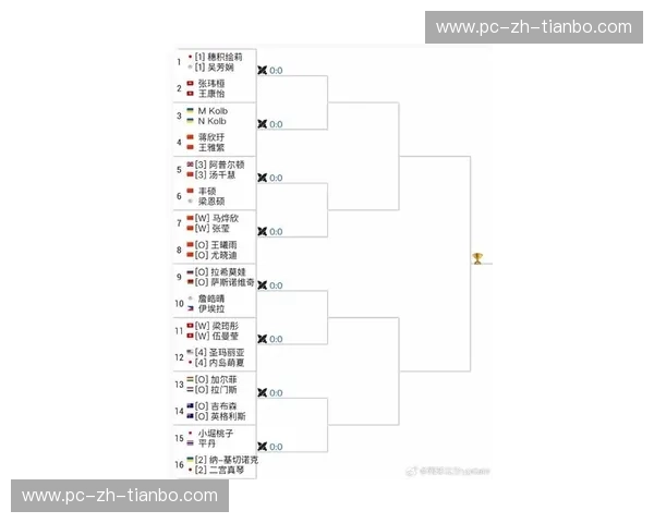 WTA巡回赛比分：数据里的激情与观赛的新体验